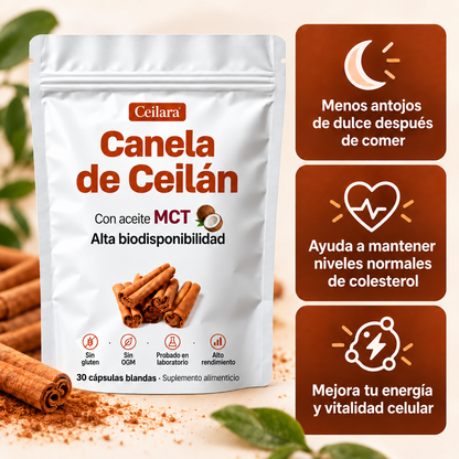 Canela de Ceilán 7.200 mg equivalentes con Aceite MCT